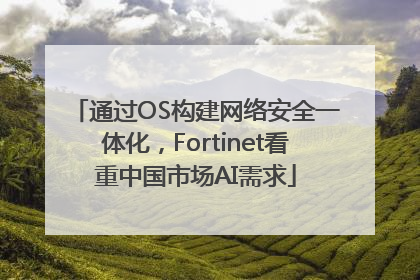 通过OS构建网络安全一体化，Fortinet看重中国市场AI需求
