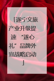 遂宁文旅产业升级提速 “遂心礼”品牌外宣战略启动