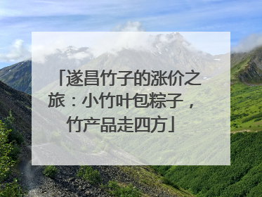 遂昌竹子的涨价之旅：小竹叶包粽子，竹产品走四方
