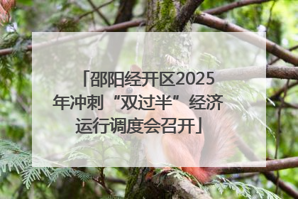 邵阳经开区2025年冲刺“双过半”经济运行调度会召开