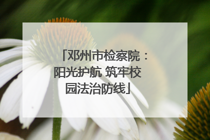 邓州市检察院：阳光护航 筑牢校园法治防线