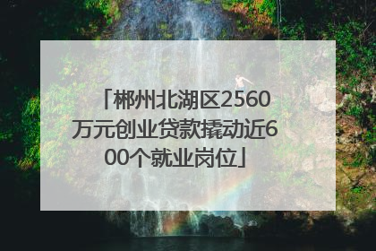 郴州北湖区2560万元创业贷款撬动近600个就业岗位