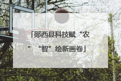 郧西县科技赋“农”“智”绘新画卷