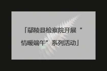 鄢陵县检察院开展“情暖端午”系列活动