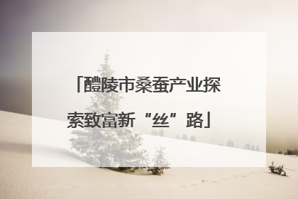 醴陵市桑蚕产业探索致富新“丝”路
