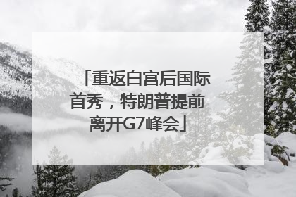 重返白宫后国际首秀，特朗普提前离开G7峰会