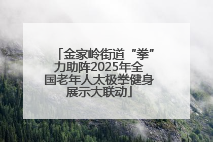 金家岭街道“拳”力助阵2025年全国老年人太极拳健身展示大联动