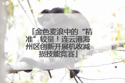 金色麦浪中的“精准”较量！连云港海州区创新开展机收减损技能竞赛