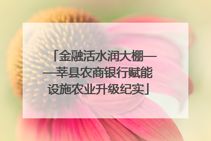 金融活水润大棚——莘县农商银行赋能设施农业升级纪实