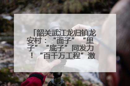 韶关武江龙归镇龙安村：“面子”“里子”“底子”同发力！“百千万工程”激活乡村新动能