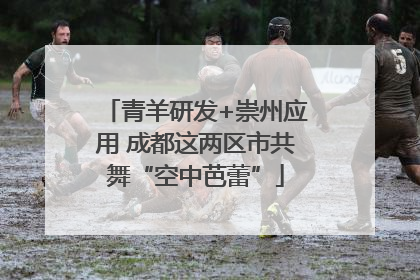 青羊研发+崇州应用 成都这两区市共舞“空中芭蕾”
