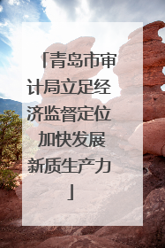 青岛市审计局立足经济监督定位 加快发展新质生产力