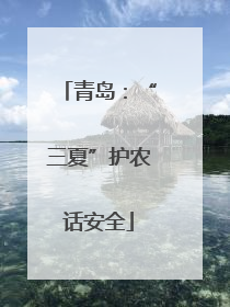 青岛：“三夏”护农话安全