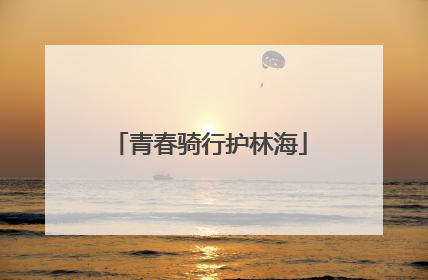 青春骑行护林海