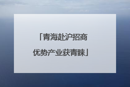 青海赴沪招商 优势产业获青睐