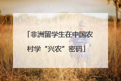 非洲留学生在中国农村学“兴农”密码