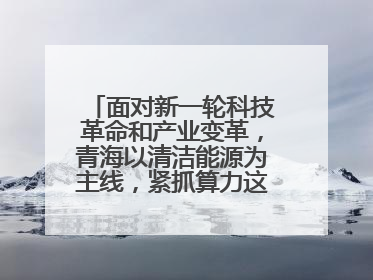 面对新一轮科技革命和产业变革，青海以清洁能源为主线，紧抓算力这个数字经济的“血液”、科技主权的“筹码”、产业升级的“杠杆”、绿色转型的“支点”，勇于撬动国家“双碳”战略、“东数西算”工程重大发展新机遇