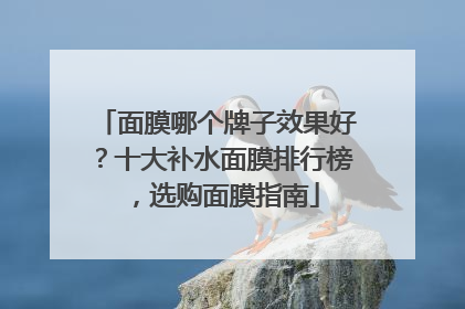 面膜哪个牌子效果好？十大补水面膜排行榜，选购面膜指南