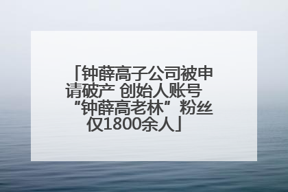 钟薛高子公司被申请破产 创始人账号“钟薛高老林”粉丝仅1800余人