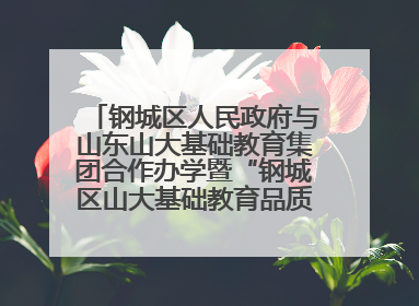 钢城区人民政府与山东山大基础教育集团合作办学暨“钢城区山大基础教育品质提升联盟”签约揭牌活动举行