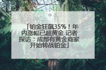 铂金狂飙35%！年内涨幅已超黄金 记者探访：成都有黄金商家开始转战铂金