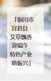 铜川市宜君县：艾草飘香迎端午 特色产业助振兴