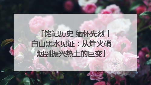 铭记历史 缅怀先烈丨白山黑水见证：从烽火硝烟到振兴热土的巨变