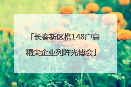 长春新区携148户高精尖企业列阵光博会