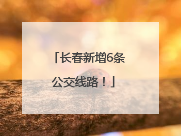 长春新增6条公交线路！
