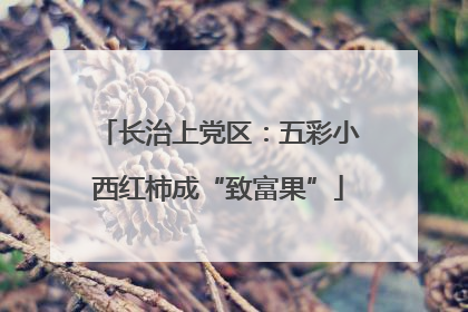 长治上党区：五彩小西红柿成“致富果”