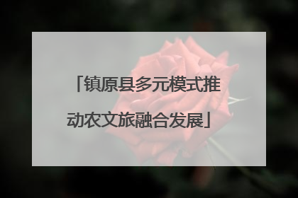 镇原县多元模式推动农文旅融合发展
