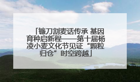 镰刀割麦话传承 基因育种启新程——第十届杨凌小麦文化节见证“颗粒归仓”时空跨越