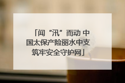闻“汛”而动 中国太保产险丽水中支筑牢安全守护网