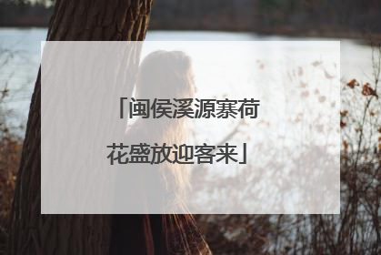 闽侯溪源寨荷花盛放迎客来