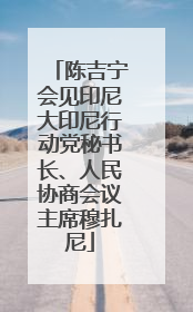陈吉宁会见印尼大印尼行动党秘书长、人民协商会议主席穆扎尼