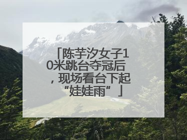 陈芋汐女子10米跳台夺冠后，现场看台下起“娃娃雨”
