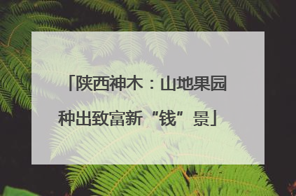 陕西神木：山地果园种出致富新“钱”景