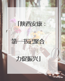 陕西安康：第一书记聚合力促振兴