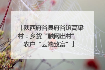 陕西府谷县府谷镇高梁村：乡货“触网出村” 农户“云端致富”