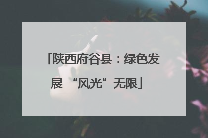 陕西府谷县：绿色发展 “风光”无限