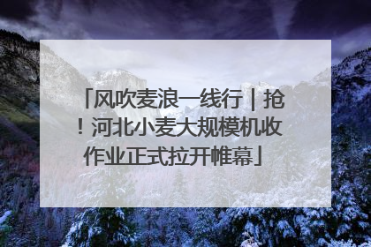 风吹麦浪一线行｜抢！河北小麦大规模机收作业正式拉开帷幕
