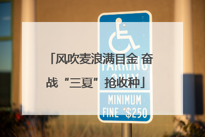 风吹麦浪满目金 奋战“三夏”抢收种