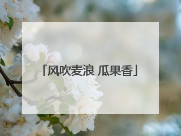 风吹麦浪 瓜果香