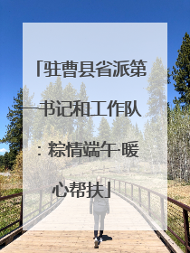 驻曹县省派第一书记和工作队：粽情端午·暖心帮扶
