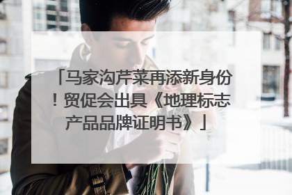 马家沟芹菜再添新身份！贸促会出具《地理标志产品品牌证明书》