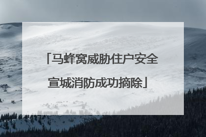 马蜂窝威胁住户安全 宣城消防成功摘除