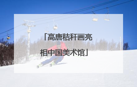 高唐秸秆画亮相中国美术馆