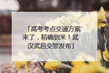 高考考点交通方案来了，精确到米！武汉武昌交警发布