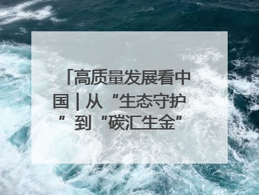 高质量发展看中国｜从“生态守护”到“碳汇生金”——中国石油大庆油田绿色蝶变