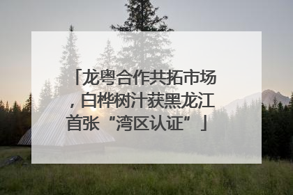 龙粤合作共拓市场，白桦树汁获黑龙江首张“湾区认证”